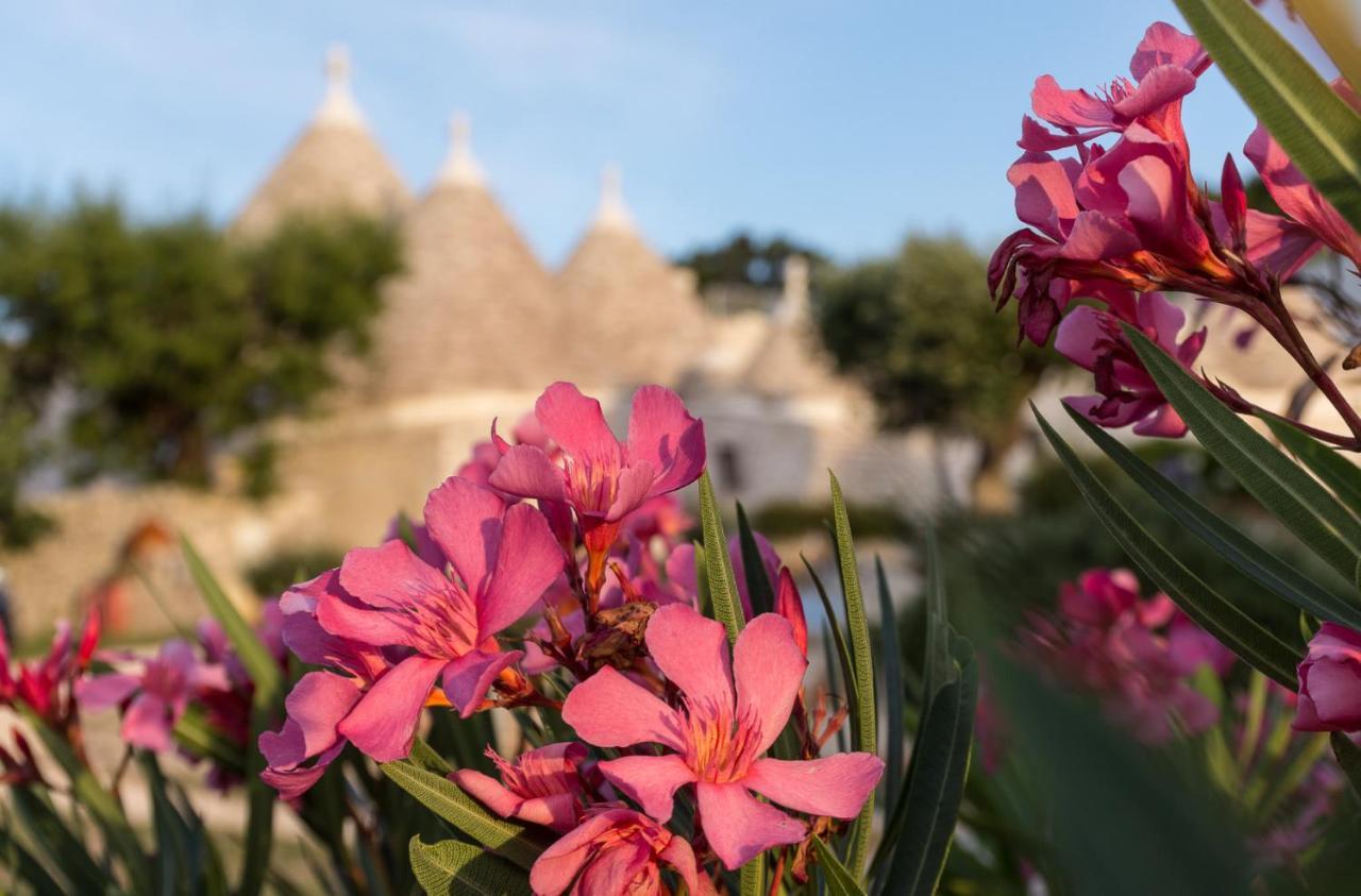 Апартаменты Trulli Angela Локоротондо Экстерьер фото